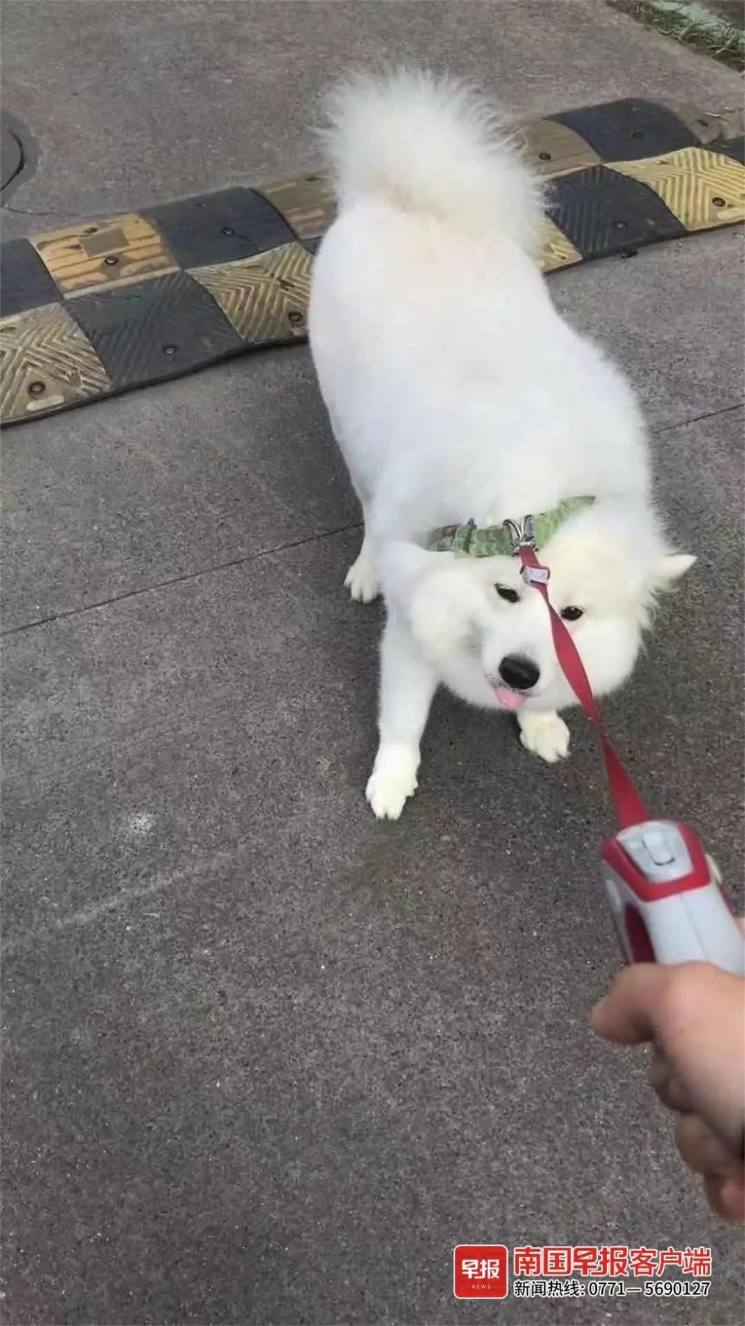 DƬ